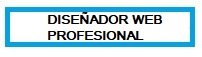 Diseñador Web Profesional Tortosa