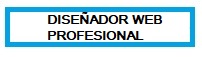 Diseñador Web Profesional Valladolid