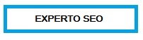 Experto Seo Antequera