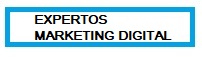 Expertos Marketing Digital Ingenio