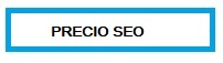 Precio SEO Leioa