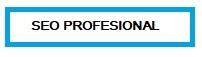 Seo Profesional Leioa